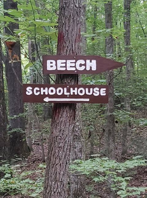 The Schoolhouse Beech carvings